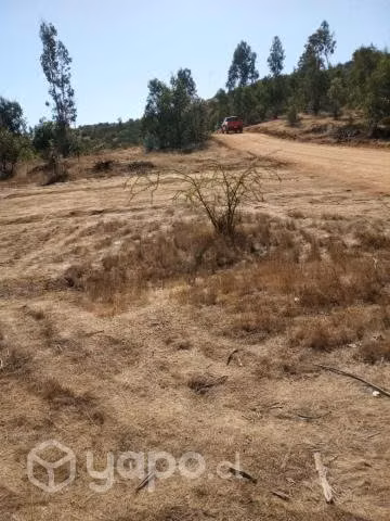 Vendo terreno en pumanque 5000m2