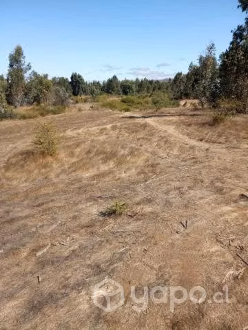 Vendo terreno en pumanque 5000m2