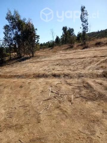 Vendo terreno en pumanque 5000m2