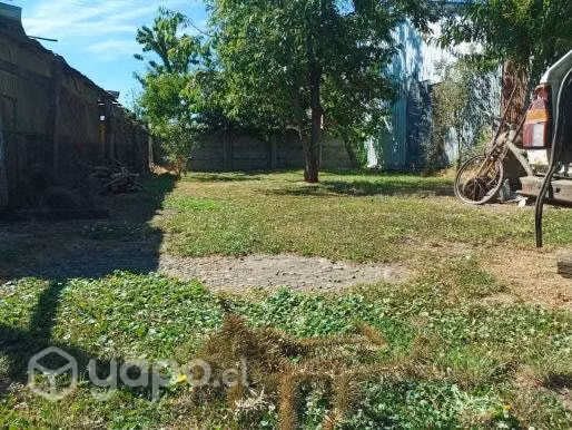 Se vende propiedad - comuna de freire - Imagen 3
