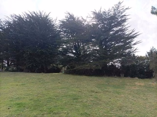 Se Arrienda Cabaña En Guapilacuy Alto - Ancud