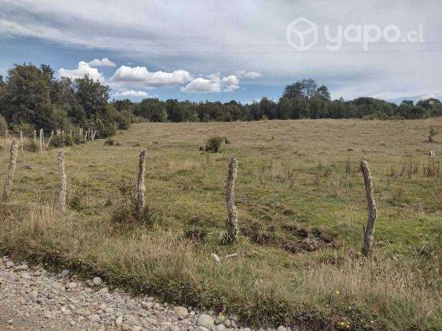 Parcela Sector Tublidad Comuna Quemchi (Chilóe) - Imagen 5
