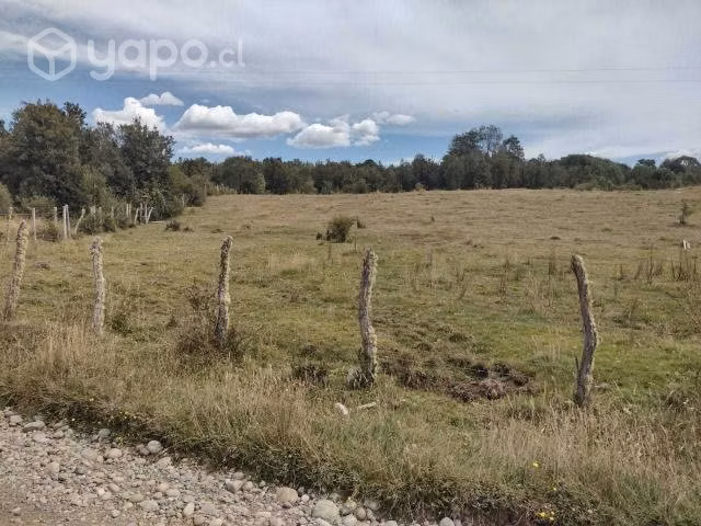 Venta parcela sectir tubildad comuna quemchi - Imagen 5
