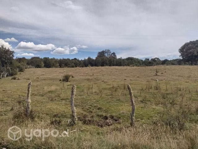 Venta parcela sectir tubildad comuna quemchi - Imagen 4