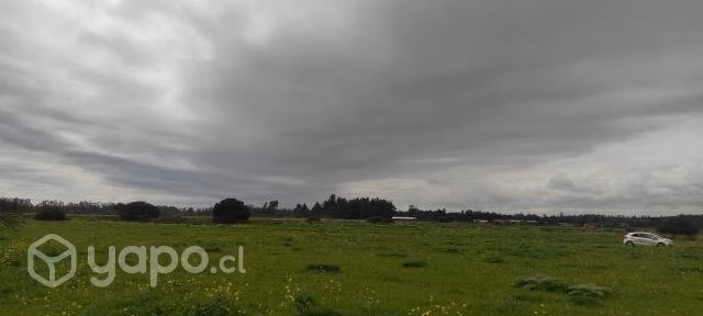 Parcela sector estero Yali