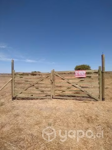 Parcela sector estero Yali