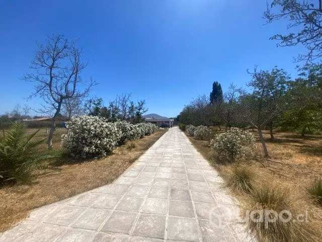 Tu hogar soñado - Las palmeras en peñaflor