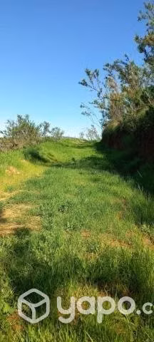 Venta de Parcela en Limache - Imagen 9