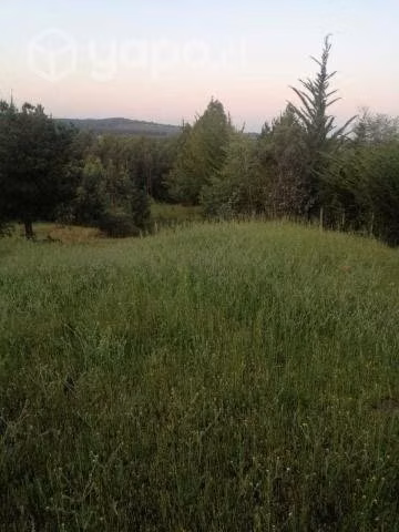 Terreno Renaico