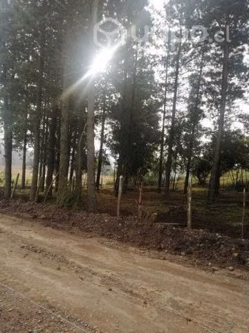 Terreno Renaico - Imagen 3