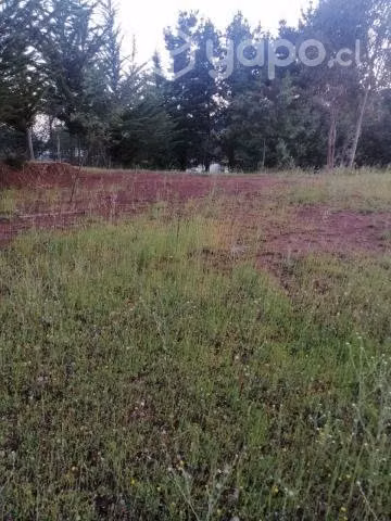 Terreno Renaico - Imagen 5