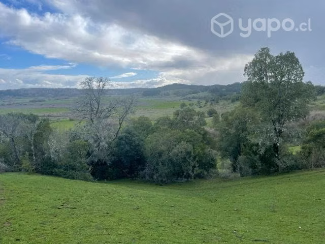 Hermoso Campo de 9,1 hectáreas