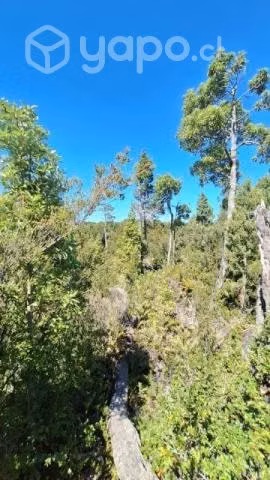 Parcela 5.000mts2 miramar bajo, puerto montt