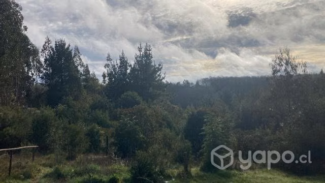 Terreno en Los Álamos de 5.000mts