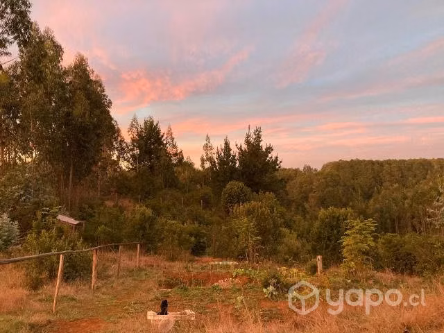 Terreno en Los Álamos de 5.000mts