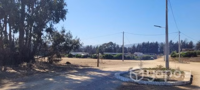 Bosques de Quirilluca a 15 minutos de Maitencillo