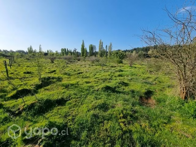 Parcela 5000 m2 sector Tomeco de Yumbel - Imagen 2