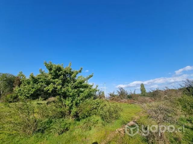 Parcela 5000 m2 sector Tomeco de Yumbel - Imagen 8