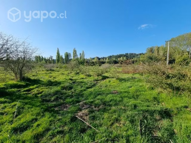 Parcela 5000 m2 sector Tomeco de Yumbel - Imagen 7