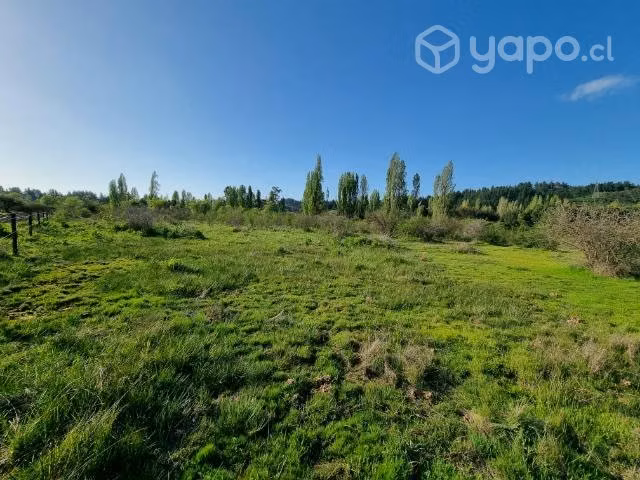Parcela 5000 m2 sector Tomeco de Yumbel - Imagen 5