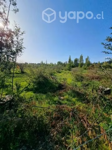 Parcela 5000 m2 sector Tomeco de Yumbel - Imagen 9