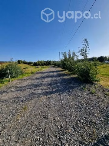 Parcela 5000 m2 sector Tomeco de Yumbel