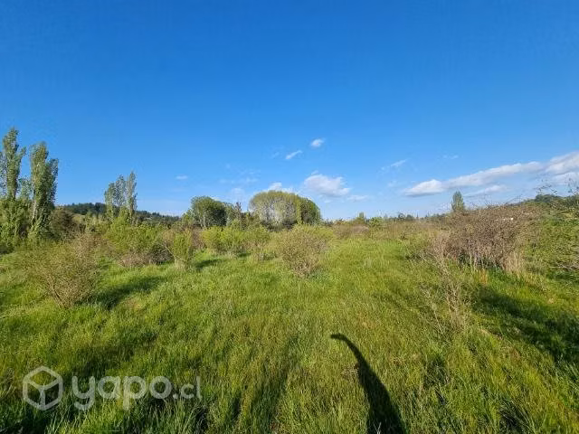 Parcela 5000 m2 sector Tomeco de Yumbel - Imagen 6