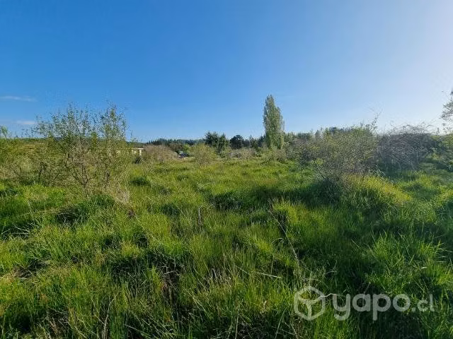 Parcela 5000 m2 sector Tomeco de Yumbel - Imagen 4