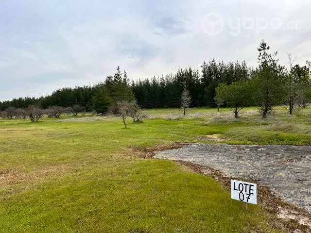 Se vende parcela en el sur-cauquenes - Imagen 19