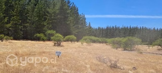 Se vende parcela en el sur-cauquenes - Imagen 2