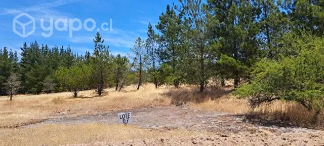 Se vende parcela en el sur-cauquenes - Imagen 3