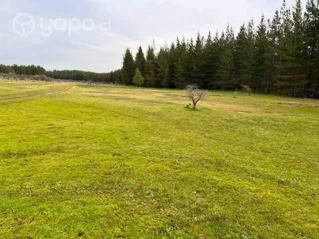 Se vende parcela en el sur-cauquenes - Imagen 16