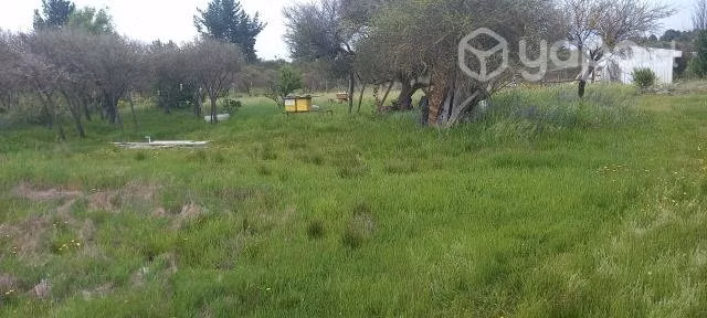 Venta parcela - Imagen 6