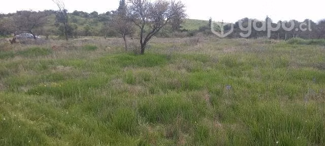 Venta parcela