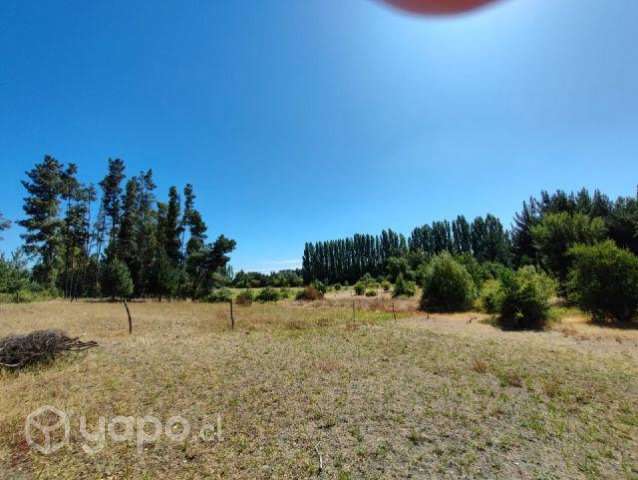 Terreno en Los Ángeles - Imagen 5