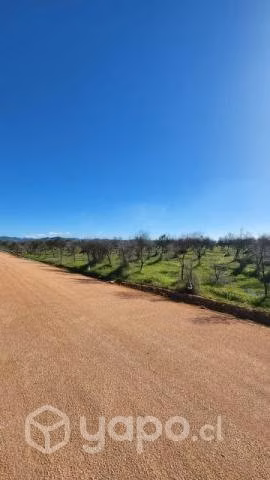 Parcela VI Región
