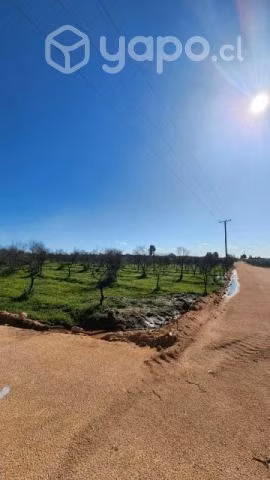 Parcela VI Región