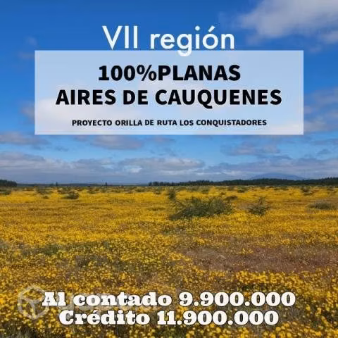 Parcela VII Región