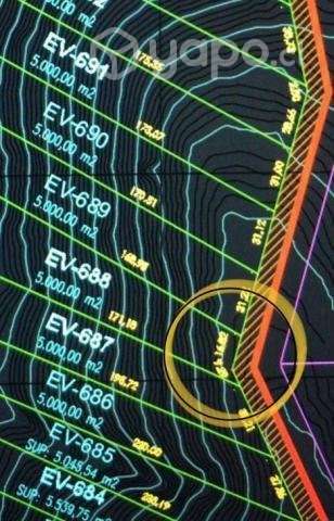 Venta terreno de 5000 mts  conversable - Imagen 4