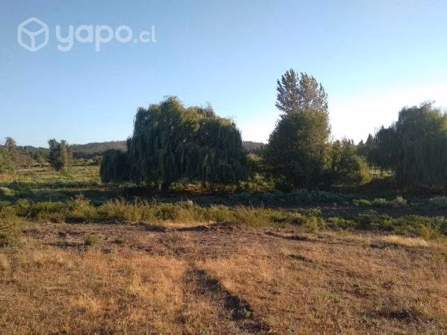 Parcela camino a Quillon a 50 minutos de Concepcio