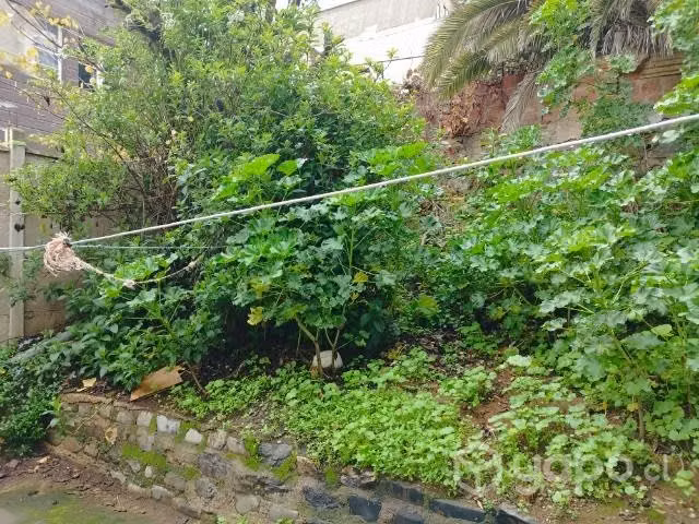 Casa Playa Ancha Sector Gran Bretaña, Valparaíso - Imagen 2