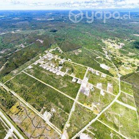 Comuna de Calbuco, provincia de Llanquihue - Imagen 6