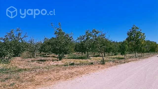 Parcela PAINE HUELQUÉN - Imagen 7