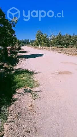 Parcela PAINE HUELQUÉN - Imagen 10