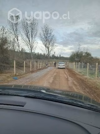 Parcela en coipin , san nicolas