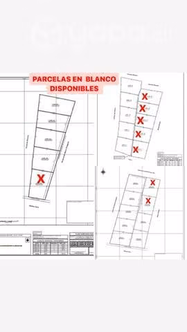 Parcelas de 1/2 hectárea / con rol propio c/u - Imagen 2