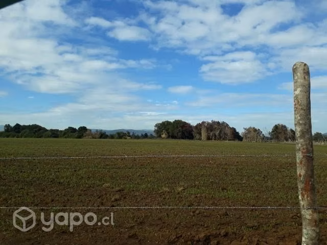 Parcela Cañete, sector laguna Lloncao