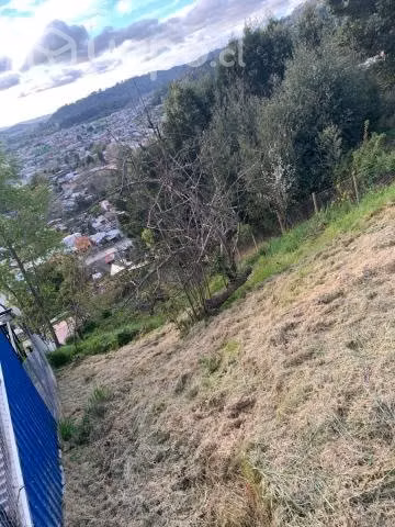 Terreno en sector nonguen, concepcion, - Imagen 2