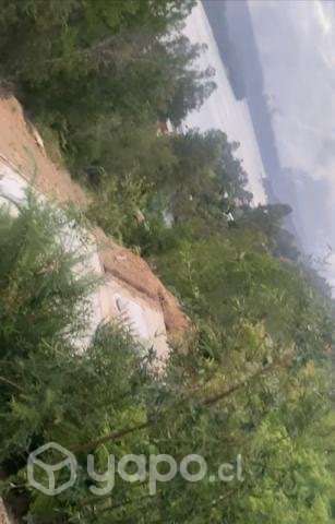 Terreno en Niebla - Imagen 6