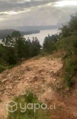 Terreno en Niebla - Imagen 9